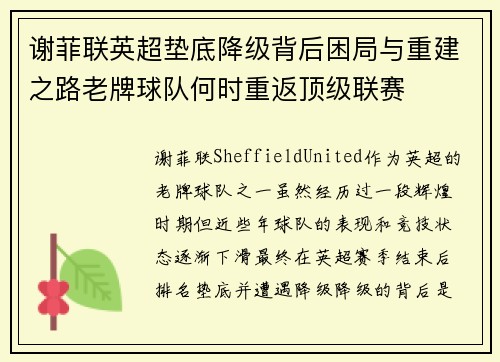谢菲联英超垫底降级背后困局与重建之路老牌球队何时重返顶级联赛