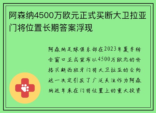 阿森纳4500万欧元正式买断大卫拉亚门将位置长期答案浮现
